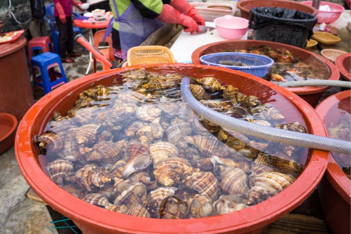 Fresh Seafood in Taejongdae Resort Park in Busan